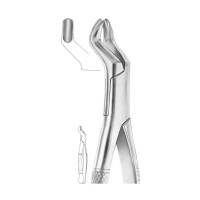 EXTRACTING FORCEPS 'AMERICAN PATTERN'