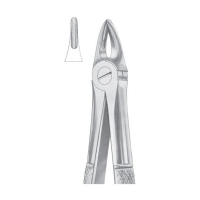 EXTRACTING FORCEPS ' ENGLISH PATTERN'