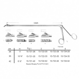 Rectal Biopsy 